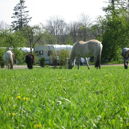 Bed & Breakfast Boeslunde Camping 3*